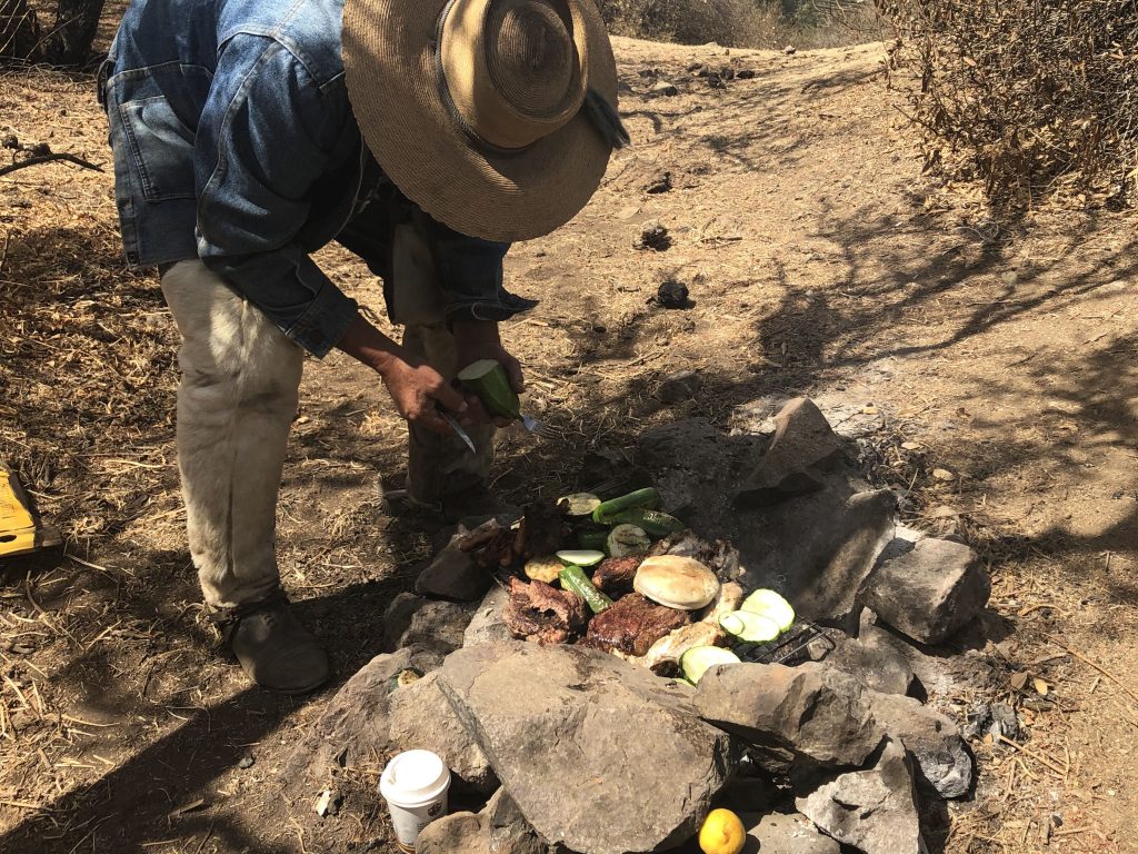 Magic in Chile Taking a Wine Tour on Horseback TDN Look