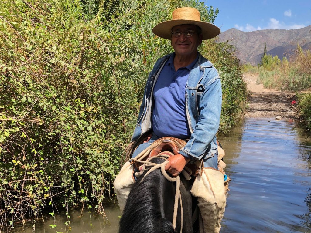 Magic in Chile Taking a Wine Tour on Horseback TDN Look