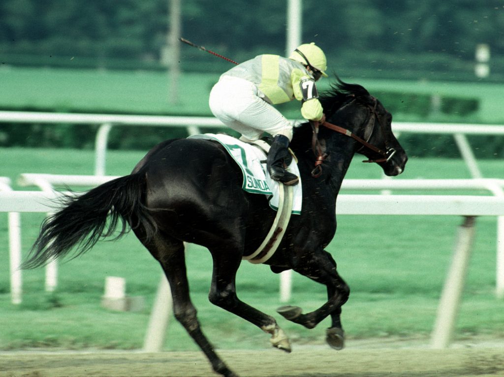 30 Years Ago This Week The Day Easy Goer Brought Out His Best TDN Look