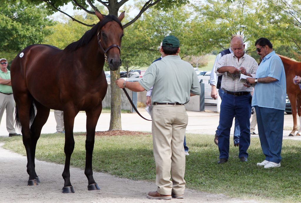 What Truly Drives Jim McIngvale? Giving Back - TDN Look