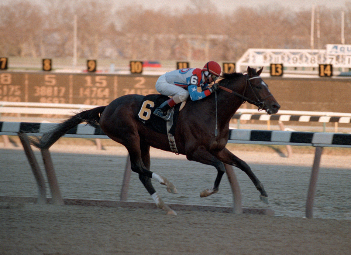 The Invincible, Unbeatable Cigar TDN Look